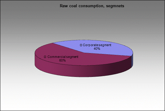 WP Zapadno-Sibirsky MC - Raw coal consumption, segmnets