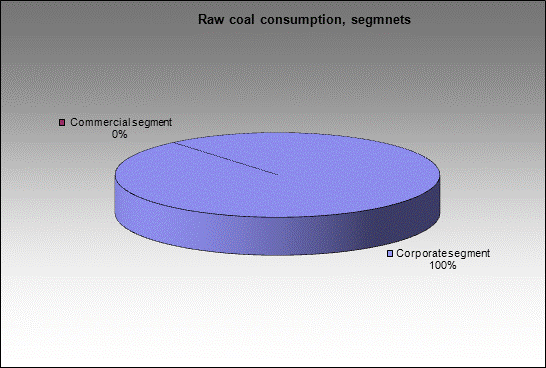 WP Tomusinskaya - Raw coal consumption, segmnets