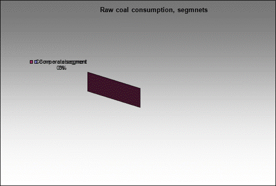 WP Kuzbasskaya - Raw coal consumption, segmnets