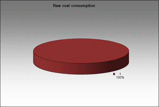 WP Severnaya mine - Raw coal consumption