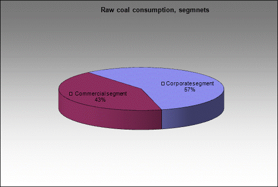  Severnaya - Raw coal consumption, segmnets