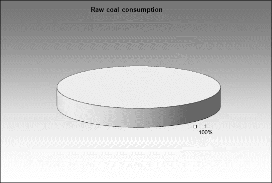 WP Barzasskoe Tovarishchestvo - Raw coal consumption