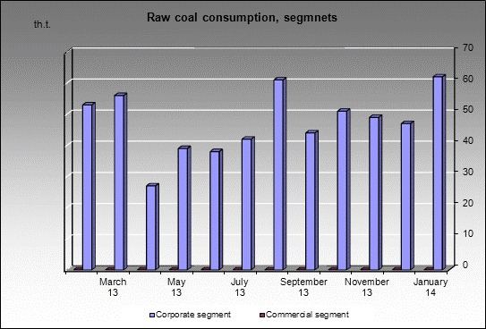 WP Barzasskoe Tovarishchestvo - Raw coal consumption, segmnets