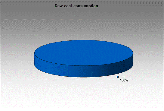 WP Bachatskaya-Koksovaya - Raw coal consumption