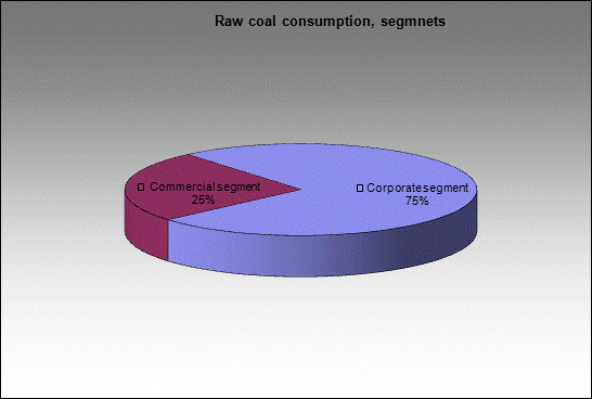 WP Belovskaya - Raw coal consumption, segmnets