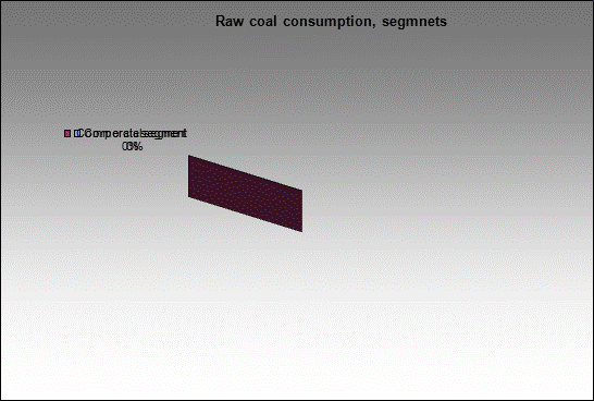 WP Inaglinskay - Raw coal consumption, segmnets
