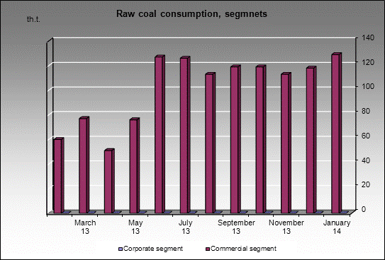 WP Karo - Raw coal consumption, segmnets