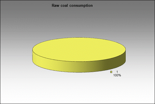 WP Krasnogorskaya - Raw coal consumption