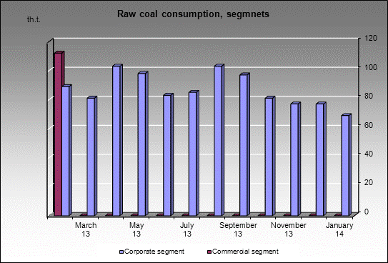WP Krasnogorskaya - Raw coal consumption, segmnets