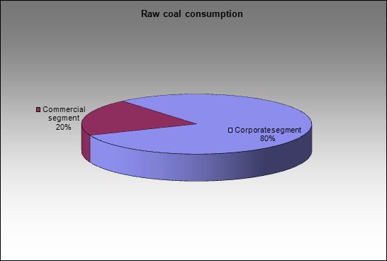 EvrazHolding - Raw coal consumption