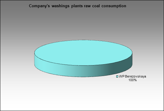 Kemerovokoks - Company's washings plants raw coal consumption