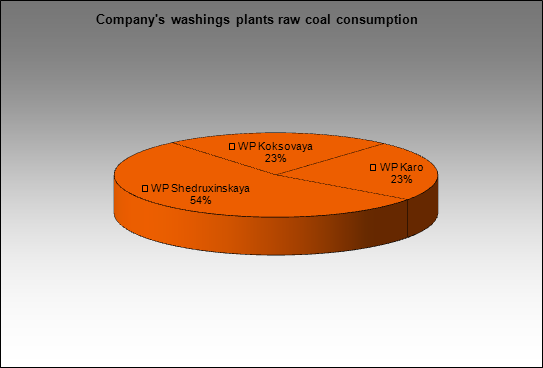 TopProm - Company's washings plants raw coal consumption