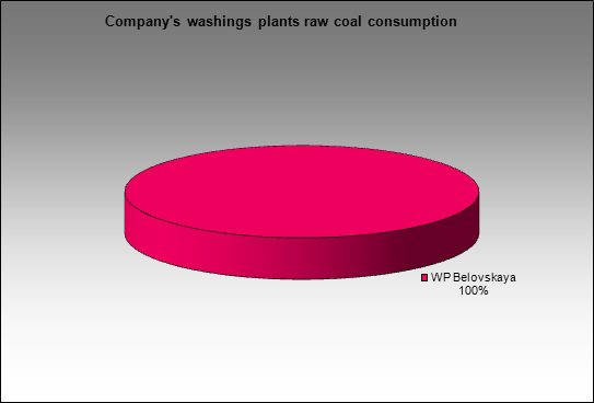 MMK(Belon) - Company's washings plants raw coal consumption