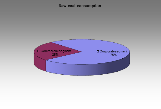 MMK(Belon) - Raw coal consumption